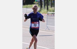 Vignes et remparts : RIBEAUVILLE (68)