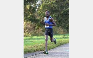 10 km de la Wantzenau : LA WANTZENAU (67)