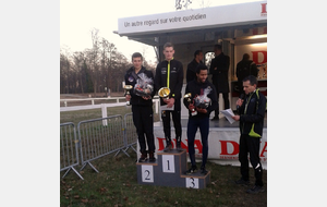 Le cross du sapin de Noël : SELESTAT (67)