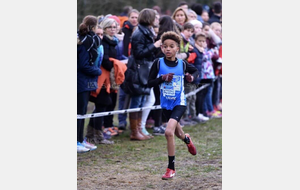 Championnats du Bas-Rhin UNSS cross : BISCHWILLER (67)