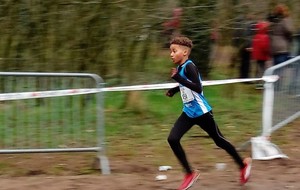 Championnats du BAS-RHIN de cross (R) : BISCHWILLER (67)