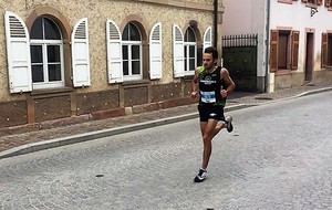 Marathon du Vignoble d’Alsace : MOLSHEIM (67)