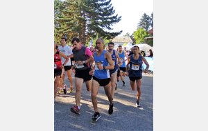 La C.O.W. : WOLFISHEIM (67)