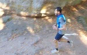 Courses des Chateaux d'Ottrott : OTTROTT (67)