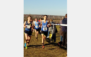 1/2 Finale France Cross : PFAFFENHEIM (68)