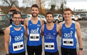 Cross sapin Noël : SELESTAT (67)