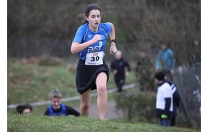 Cross de Lingolsheim (R) : LINGOLSHEIM (67)