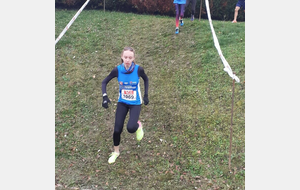 Cross de Sarre-Union : SARRE-UNION (67)