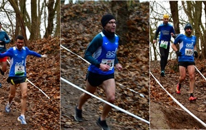 Cross de Lingolsheim : LINGOLSHEIM (67)