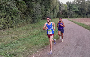 La C.O.W. : OBERSCHAEFFOLSHEIM (67)