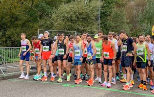 Courses de Sélestat : SELESTAT (67)