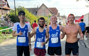 Gerstheim Ried and Rock : GERSTHEIM (67)