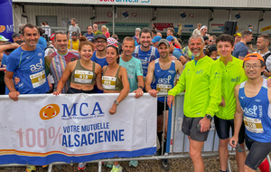 Marathon du Vignoble d'Alsace : MOLSHEIM (67)