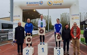 Courses de Sarrebourg : SARREBOURG (57)